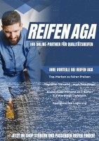 NEXEN N`FERA SPORT (SU2) 295/30 R20 101Y  Sommerreifen