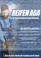 MICHELIN e.Primacy 195/55 R16 91V  Sommerreifen