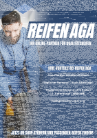 TORQUE TQ022 (PKW) 195/60 R15 88H  Winterreifen