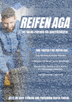 NEXEN N`BLUE HD PLUS 205/55 R16 91V HD PLUS Sommerreifen