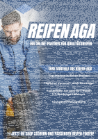HANKOOK H750 Kinergy 4S 2 205/55 R17 95V Kinergy 4S 2 Ganzjahresreifen