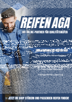 NEXEN N`BLUE S 195/65 R15 91H  Sommerreifen