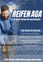 NEXEN N`BLUE S 195/65 R15 95H  Sommerreifen