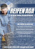 CONTINENTAL ECO CONTACT 6 205/60 R16 92V  Sommerreifen