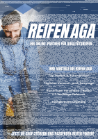NEXEN N`BLUE 4 SEASON 195/60 R15 88H  Ganzjahresreifen